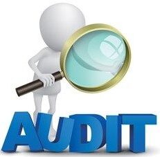 cartoon figure indicating audit